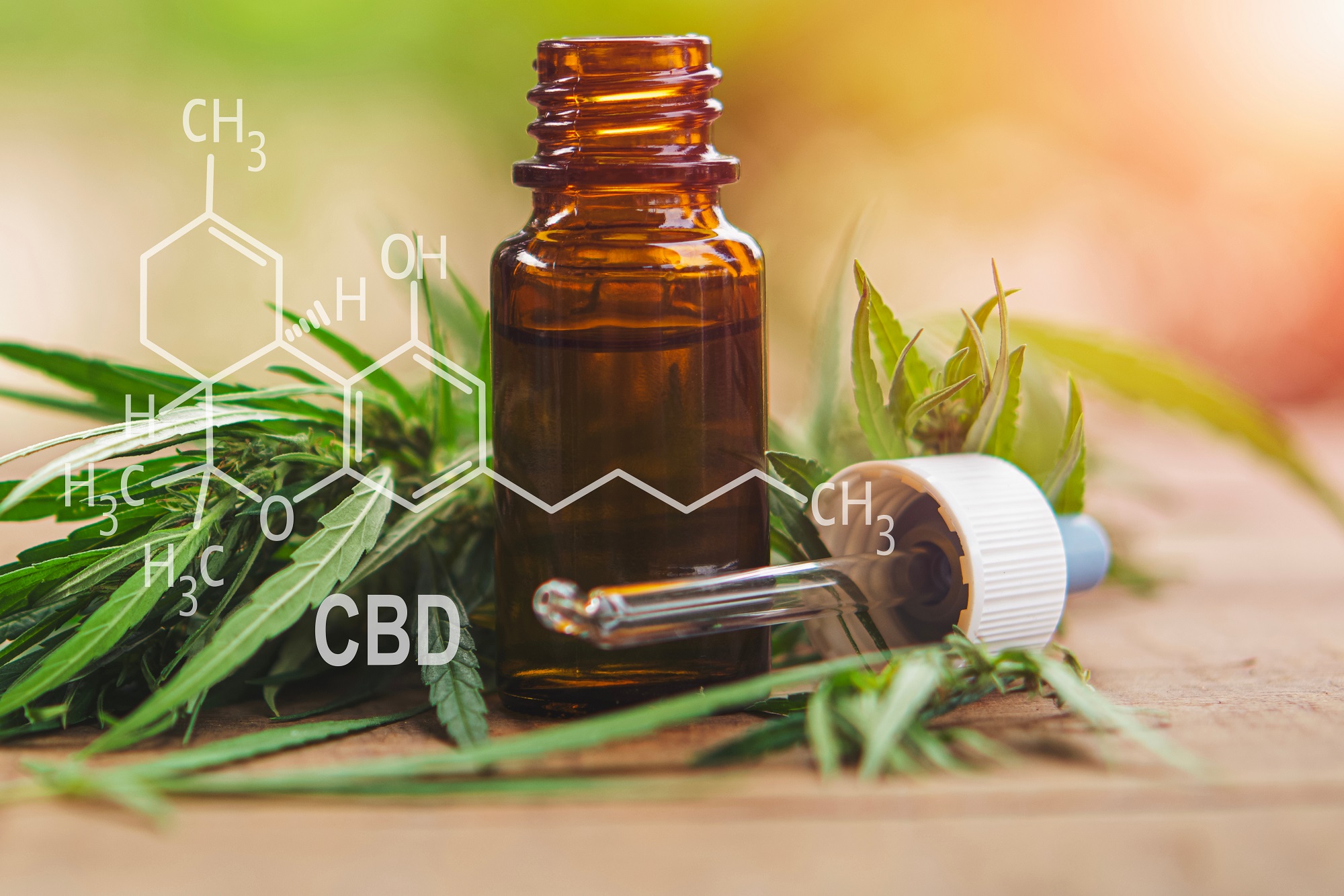 CBD extraction process showing oil separation