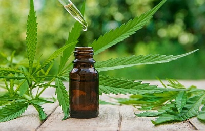 Hemp oil ready for remediation processing