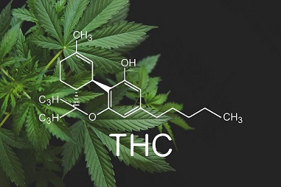 THC and CBD molecular separation
